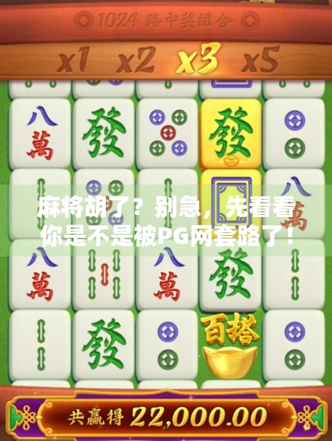 麻将胡了？别急，先看看你是不是被PG网套路了！